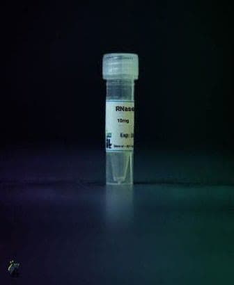 ریبونوکلئاز-A